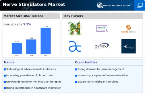 Nerve Stimulator Market Infographic