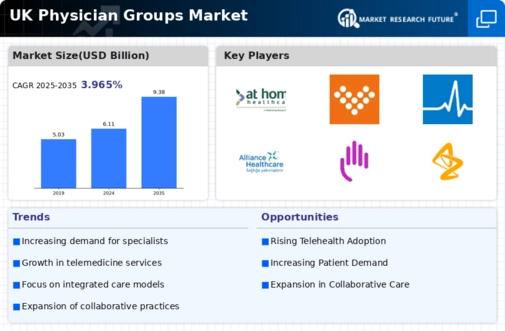 UK Physician Groups Market Infographic