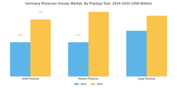 Germany Physician Groups Market Segment Image 2