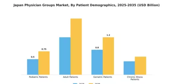 Japan Physician Groups Market Segment Image 0