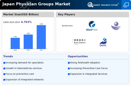 Japan Physician Groups Market Infographic