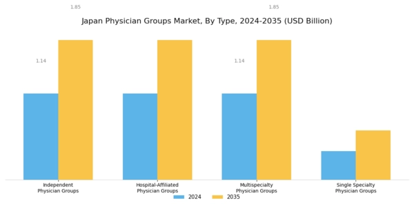 Japan Physician Groups Market Segment Image 0