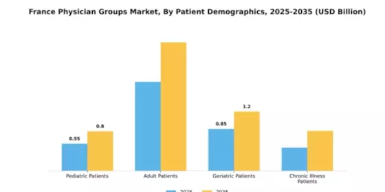 France Physician Groups Market Segment Image 0