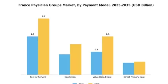 France Physician Groups Market Segment Image 1