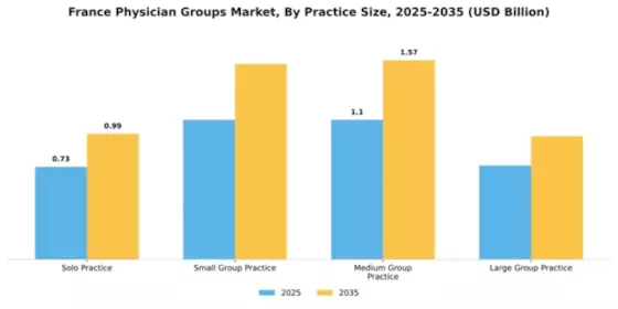 France Physician Groups Market Segment Image 3