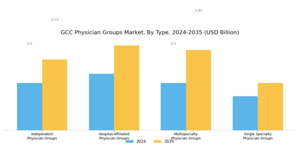 GCC Physician Groups Market Segment Image 0
