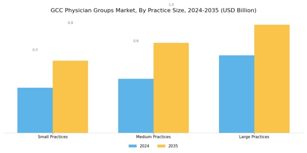 GCC Physician Groups Market Segment Image 2