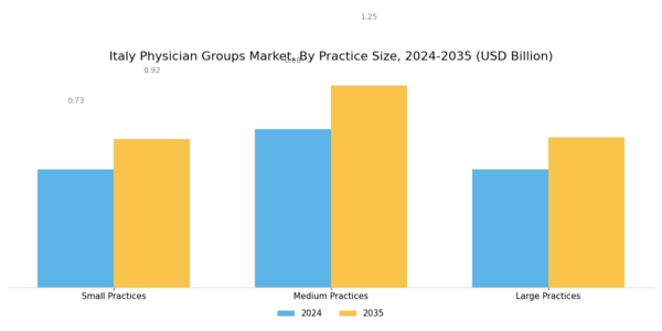 Italy Physician Groups Market Segment Image 2