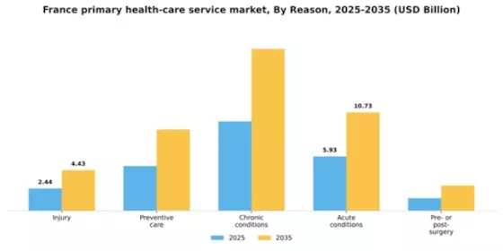 France Primary Health Care Service Market Segment Image 3