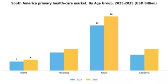 South America Primary Health Care Service Market Segment Image 0