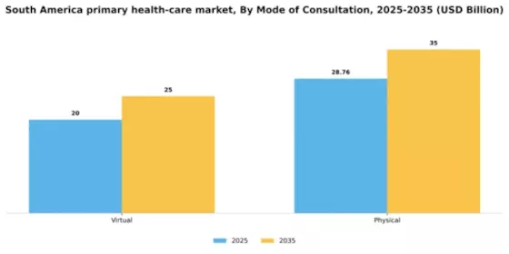 South America Primary Health Care Service Market Segment Image 1