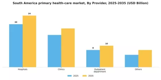 South America Primary Health Care Service Market Segment Image 2