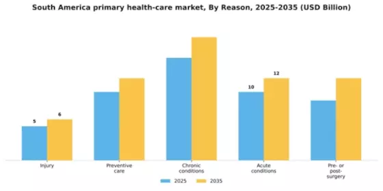 South America Primary Health Care Service Market Segment Image 3
