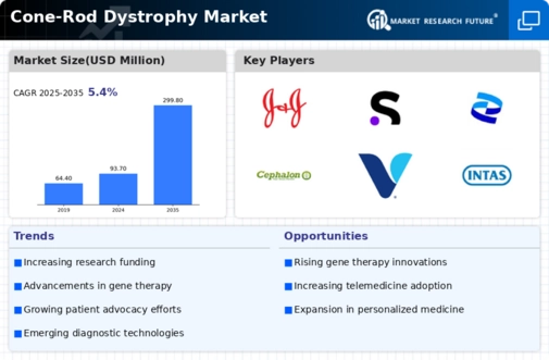 Cone Rod Dystrophy Market Infographic