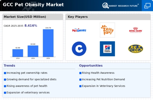 GCC Pet Obesity Market Infographic