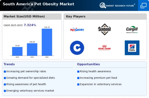 South America Pet Obesity Market Infographic