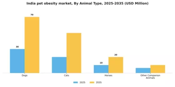 India Pet Obesity Market Segment Image 0