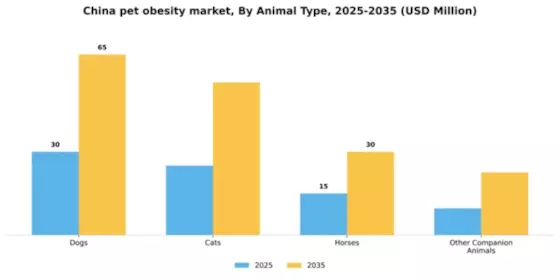 China Pet Obesity Market Segment Image 0