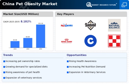 China Pet Obesity Market Infographic
