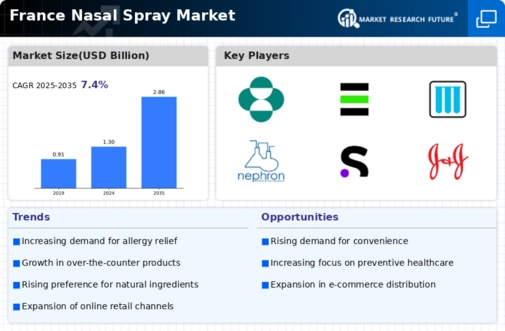 France Nasal Spray Market Infographic