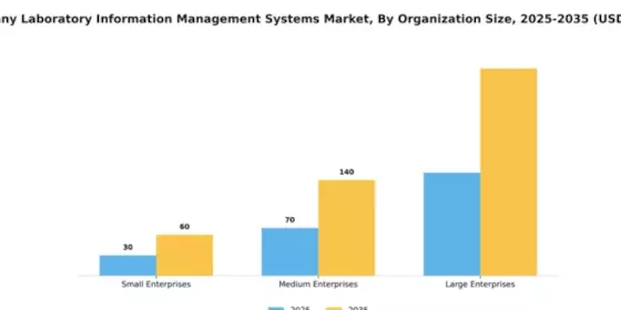 Germany Laboratory Information Management Systems Market Segment Image 4