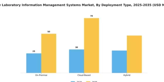 Italy Laboratory Information Management Systems Market Segment Image 1