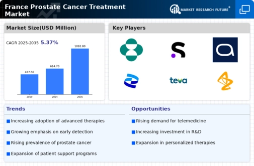 France Prostate Cancer Treatment Market Infographic