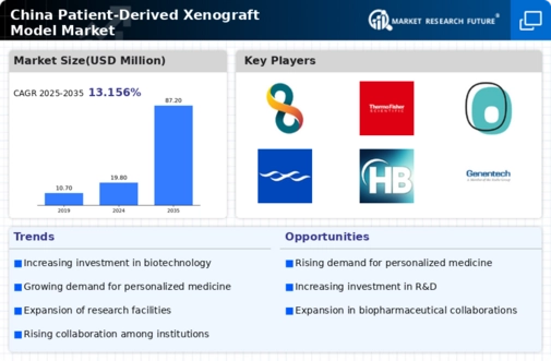 China Patient Derived Xenograft Model Market Infographic