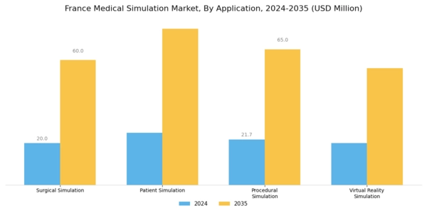 France Medical Simulation Market Segment Image 1