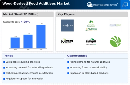 Wood-derived Food Additives market Infographic