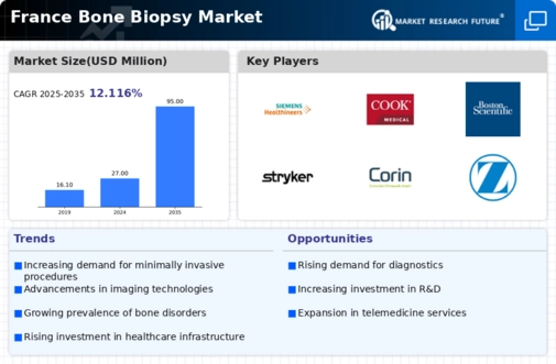 France Bone Biopsy Market Infographic