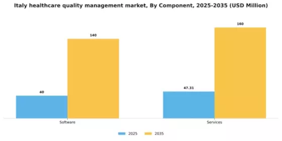Italy Healthcare Quality Management Market Segment Image 0