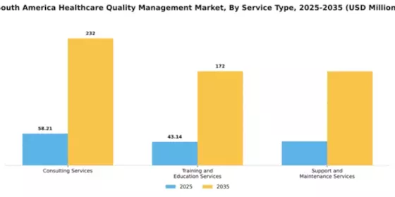 South America Healthcare Quality Management Market Segment Image 4