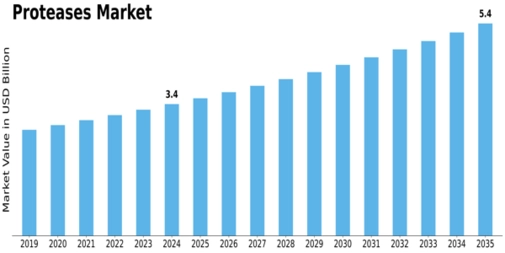 Proteases Market Size