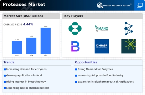 Proteases Market Infographic