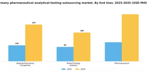 Germany Pharmaceutical Analytical Testing Outsourcing Market Segment Image 0