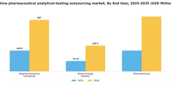 China Pharmaceutical Analytical Testing Outsourcing Market Segment Image 0