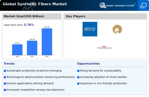 Synthetic Fibers Market Infographic
