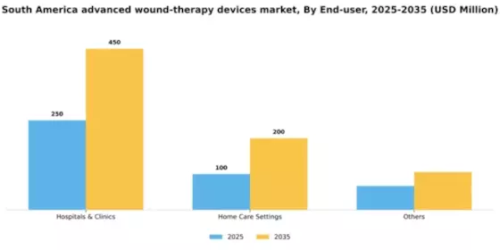 South America Advanced Wound Therapy Devices Market Segment Image 0