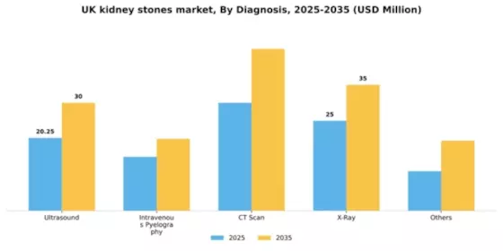 UK Kidney Stones Market Segment Image 0