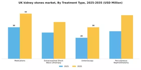 UK Kidney Stones Market Segment Image 1