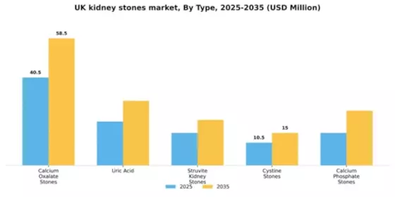 UK Kidney Stones Market Segment Image 2
