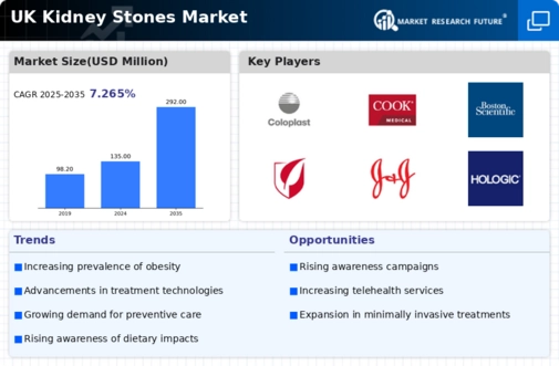 UK Kidney Stones Market Infographic