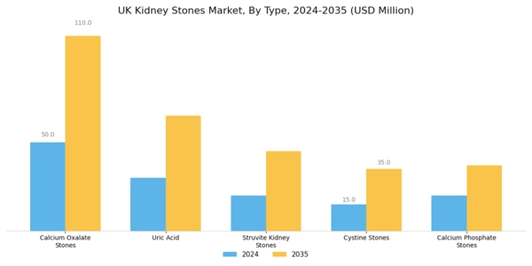 UK Kidney Stones Market Segment Image 0