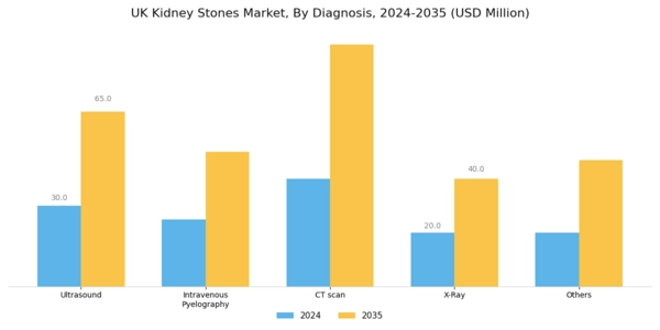 UK Kidney Stones Market Segment Image 2