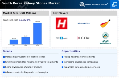 South Korea Kidney Stones Market Infographic