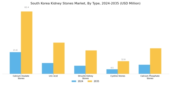 South Korea Kidney Stones Market Segment Image 0