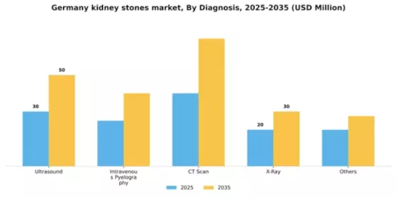Germany Kidney Stones Market Segment Image 0