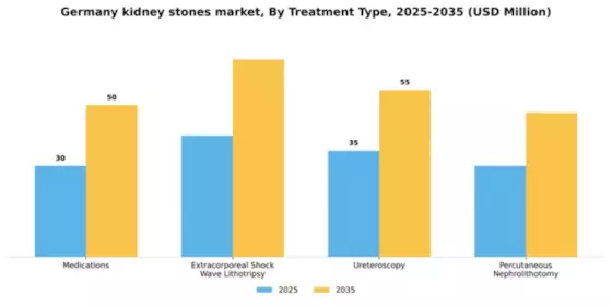 Germany Kidney Stones Market Segment Image 1