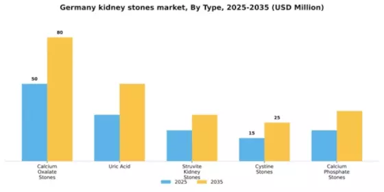 Germany Kidney Stones Market Segment Image 2